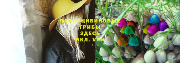 кокаин колумбия Алексин