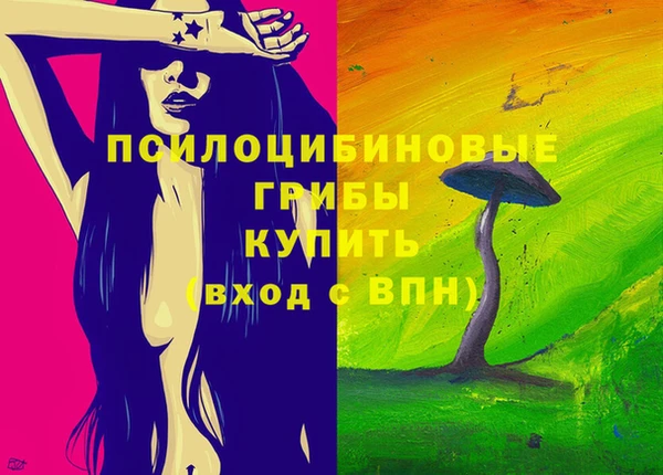 ешки Абаза