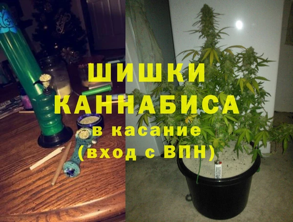 амф Абинск