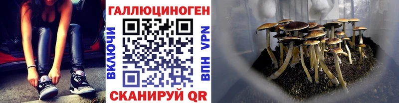 Галлюциногенные грибы Psilocybine cubensis  где купить наркоту  Кумертау 